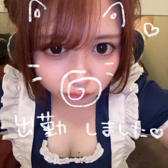 出勤しました☆