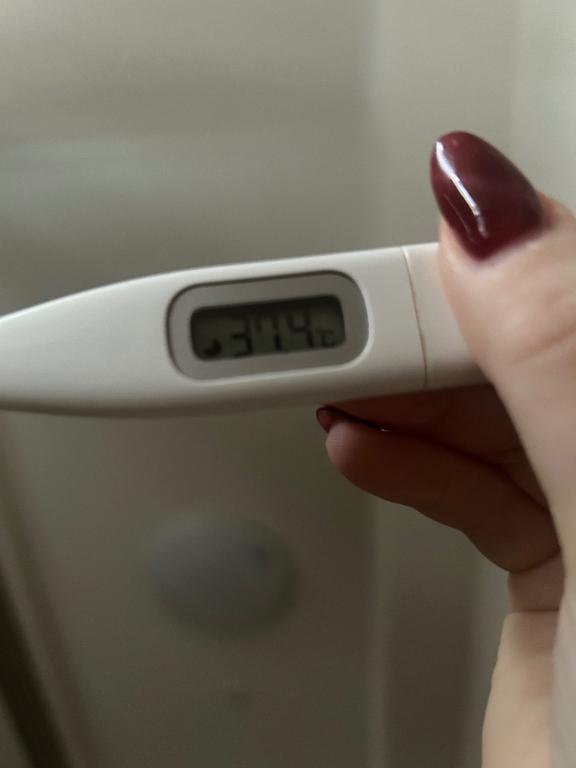 おねつ🤒